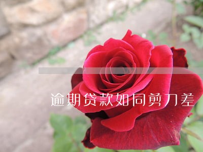 逾期贷款如同剪刀差 逾期贷款如同剪刀差