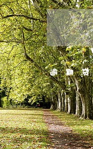 逾期贷款存款扣划总结 逾期贷款存款扣划总结