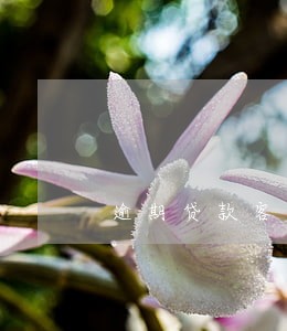 逾期贷款客户存款账户扣划 逾期贷款客户存款账户扣划