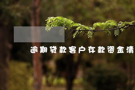 逾期贷款客户存款资金清收报告 逾期贷款客户存款资金清收报告