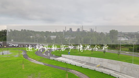 逾期贷款客户情况分析