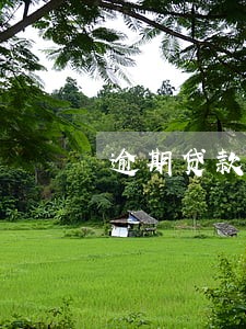 逾期贷款将作废