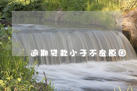 逾期贷款小于不良原因
