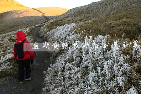 逾期贷款展期后利息计算 逾期贷款展期后利息计算