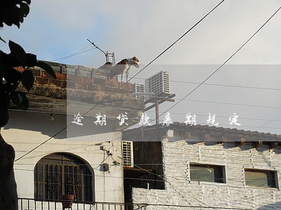 逾期贷款展期规定 逾期贷款展期规定
