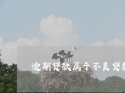 逾期贷款属于不良贷款 逾期贷款属于不良贷款