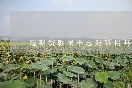 逾期贷款属于总账科目吗 逾期贷款属于总账科目吗