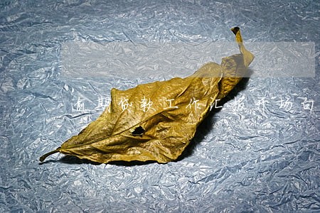 逾期贷款工作汇报开场白怎么说 逾期贷款工作汇报开场白怎么说