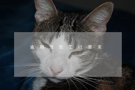 逾期贷款工行要求 逾期贷款工行要求