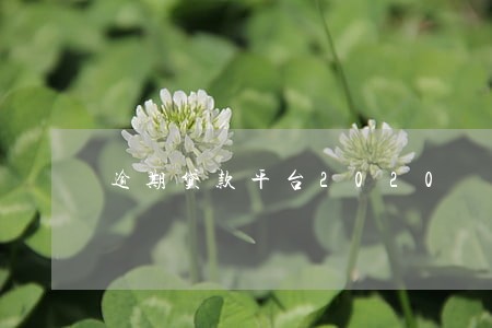 逾期贷款平台2020 逾期贷款平台2020