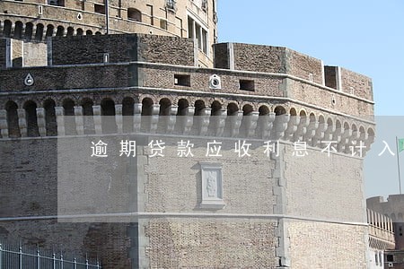 逾期贷款应收利息不计入当期损益 逾期贷款应收利息不计入当期损益