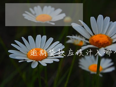 逾期贷款应该计入哪个科目 逾期贷款应该计入哪个科目