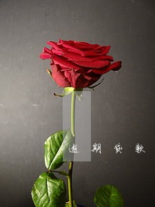 逾期贷款开庭通知书 逾期贷款开庭通知书