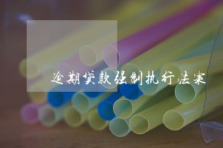 逾期贷款强制执行法案 逾期贷款强制执行法案