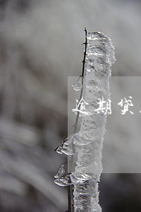 逾期贷款归还先还诉讼费 逾期贷款归还先还诉讼费