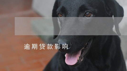 逾期贷款影响 逾期贷款影响
