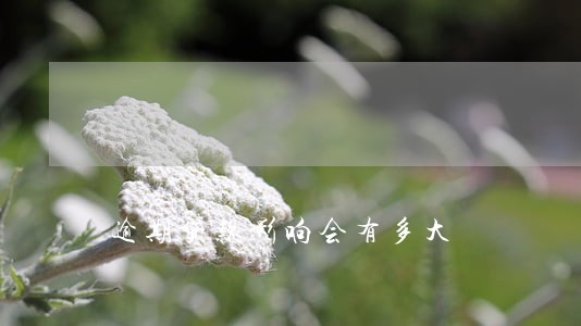 逾期贷款影响会有多大 逾期贷款影响会有多大