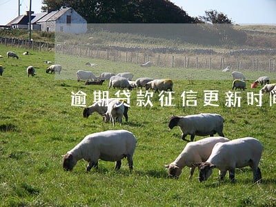 逾期贷款征信更新时间 逾期贷款征信更新时间