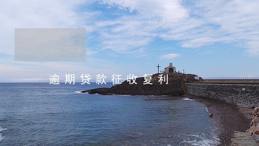 逾期贷款征收复利 逾期贷款征收复利