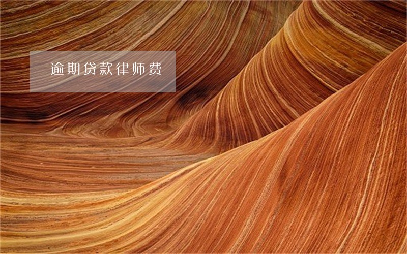 逾期贷款律师费 逾期贷款律师费