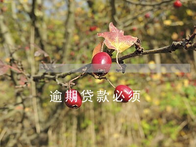 逾期贷款必须