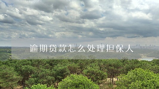 逾期贷款怎么处理担保人 逾期贷款怎么处理担保人