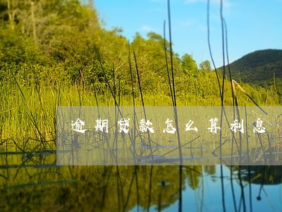 逾期贷款怎么算利息 逾期贷款怎么算利息