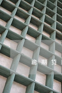 逾期贷款怎么还合理 逾期贷款怎么还合理