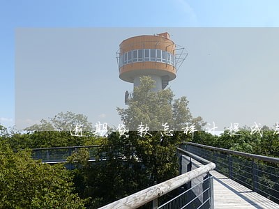 逾期贷款怎样计提成本 逾期贷款怎样计提成本