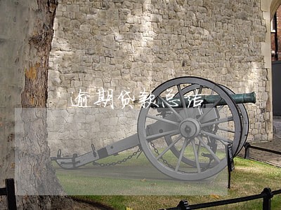 逾期贷款总结 逾期贷款总结