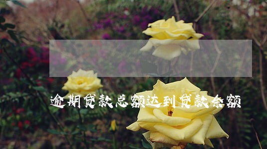 逾期贷款总额达到贷款余额 逾期贷款总额达到贷款余额