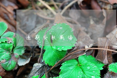 逾期贷款感悟 逾期贷款感悟