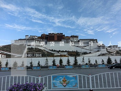 逾期贷款扣划担保人定期 逾期贷款扣划担保人定期