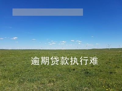 逾期贷款执行难 逾期贷款执行难