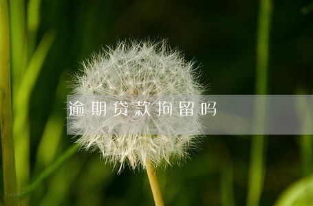 逾期贷款拘留吗 逾期贷款拘留吗
