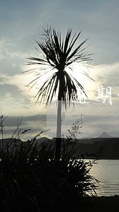 逾期贷款指填报机构报告期末 逾期贷款指填报机构报告期末