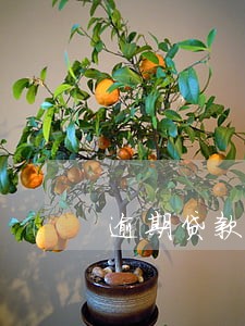 逾期贷款指的是 逾期贷款指的是