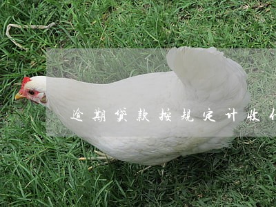 逾期贷款按规定计收什么 逾期贷款按规定计收什么