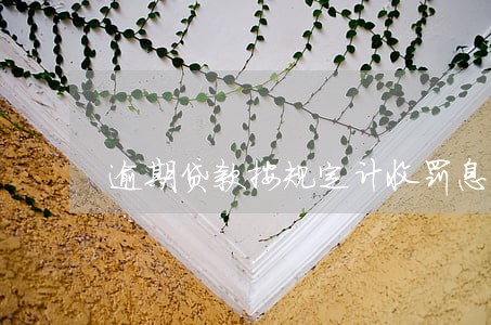 逾期贷款按规定计收罚息 逾期贷款按规定计收罚息