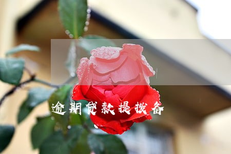 逾期贷款提拨备 逾期贷款提拨备