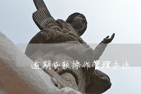 逾期贷款操作管理办法 逾期贷款操作管理办法
