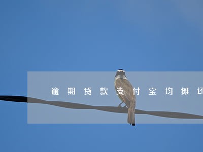逾期贷款支付宝均摊还款 逾期贷款支付宝均摊还款