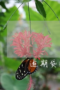 逾期贷款支票能被别人冻结吗 逾期贷款支票能被别人冻结吗