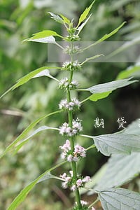 逾期贷款收入确认差异 逾期贷款收入确认差异