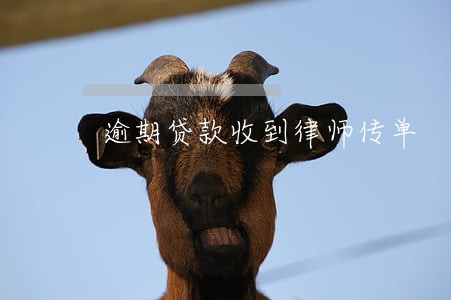 逾期贷款收到律师传单 逾期贷款收到律师传单