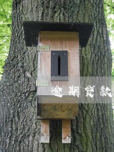 逾期贷款收到抓捕短信 逾期贷款收到抓捕短信