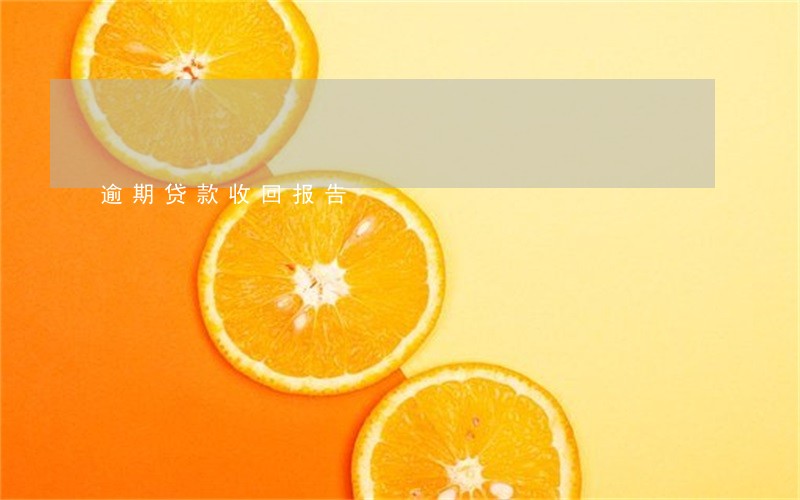 逾期贷款收回报告