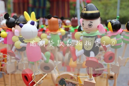 逾期贷款数拍拍贷2014