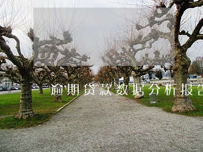 逾期贷款数据分析报告