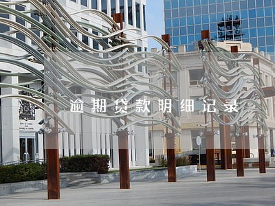 逾期贷款明细记录 逾期贷款明细记录
